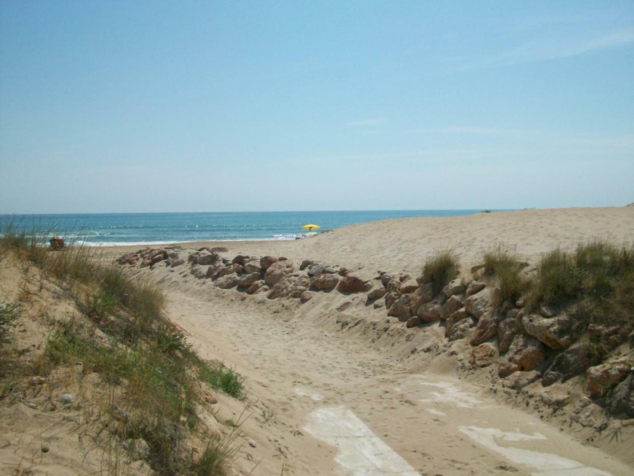 Neptuno Apartamento - Frente A La Playa Daimus Bagian luar foto